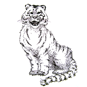 Tiger 2