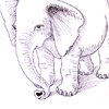 Mirko Rathke kleiner Elefant Sepia Zeichnung 2012