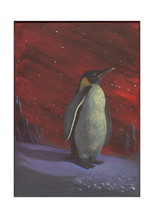 Pinguin 4
