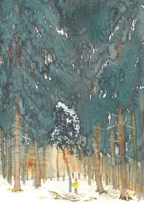 Fichtenwald im Schnee